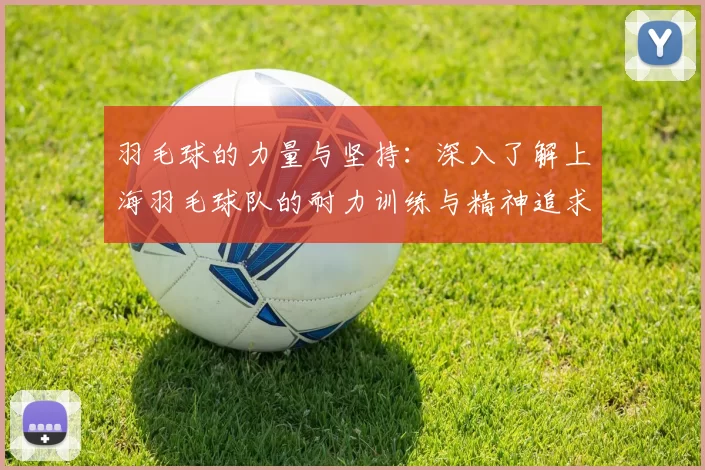 羽毛球的力量与坚持：深入了解上海羽毛球队的耐力训练与精神追求