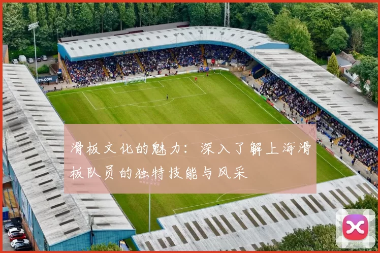 滑板文化的魅力：深入了解上海滑板队员的独特技能与风采
