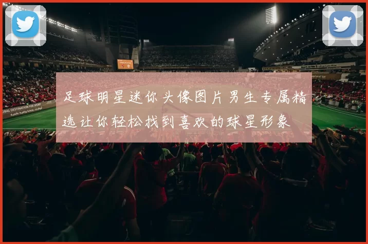 足球明星迷你头像图片男生专属精选让你轻松找到喜欢的球星形象