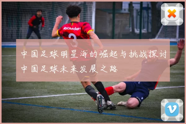 中国足球明星海的崛起与挑战探讨中国足球未来发展之路