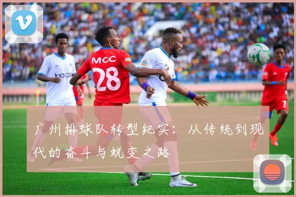 广州排球队转型纪实：从传统到现代的奋斗与蜕变之路