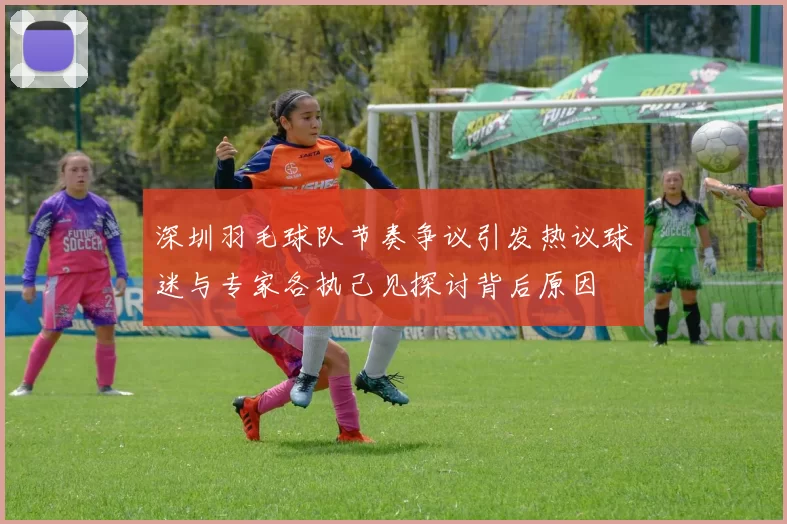 深圳羽毛球队节奏争议引发热议球迷与专家各执己见探讨背后原因