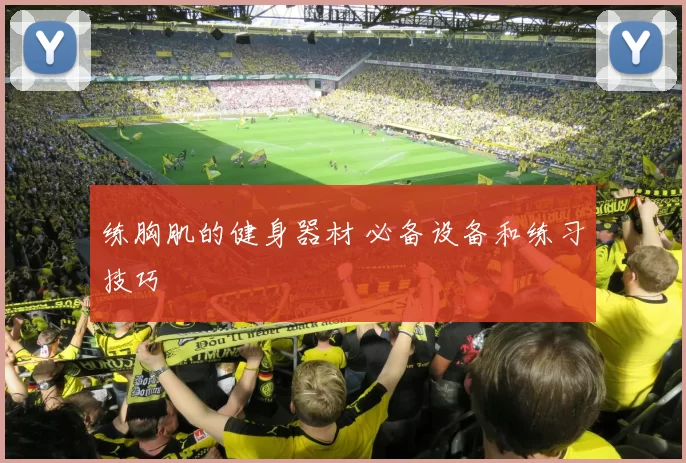 练胸肌的健身器材 必备设备和练习技巧