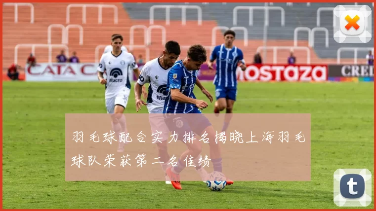 羽毛球配合实力排名揭晓上海羽毛球队荣获第二名佳绩