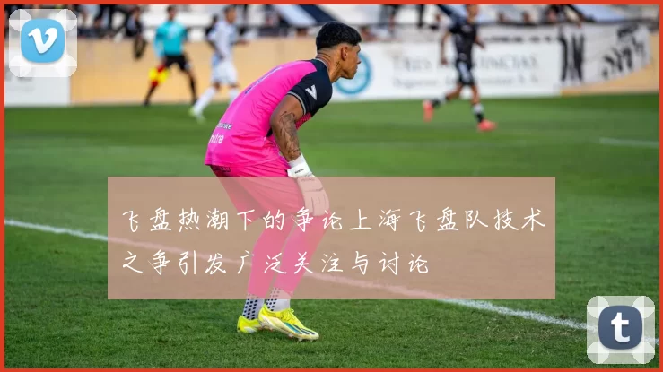 飞盘热潮下的争论上海飞盘队技术之争引发广泛关注与讨论