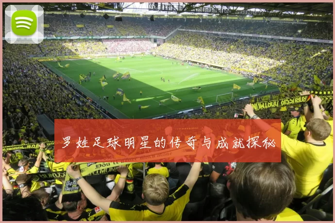 罗姓足球明星的传奇与成就探秘
