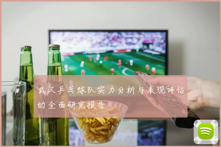 武汉乒乓球队实力分析与表现评估的全面研究报告