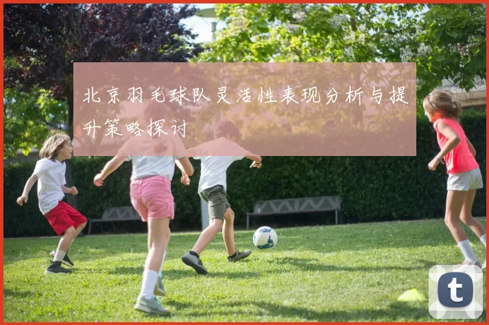 北京羽毛球队灵活性表现分析与提升策略探讨