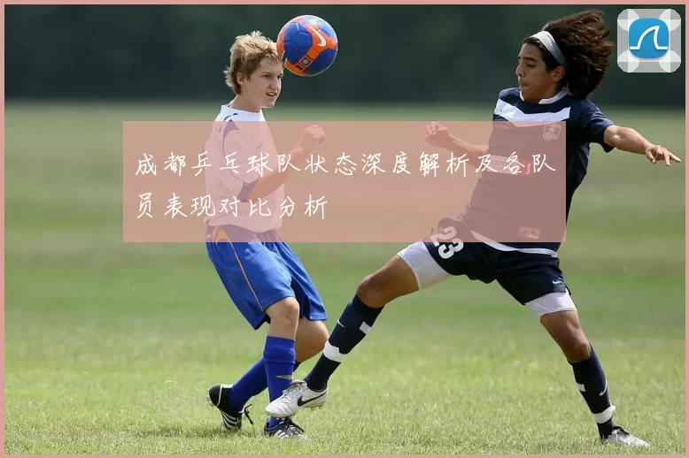 成都乒乓球队状态深度解析及各队员表现对比分析