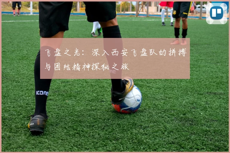 飞盘之光：深入西安飞盘队的拼搏与团结精神探秘之旅