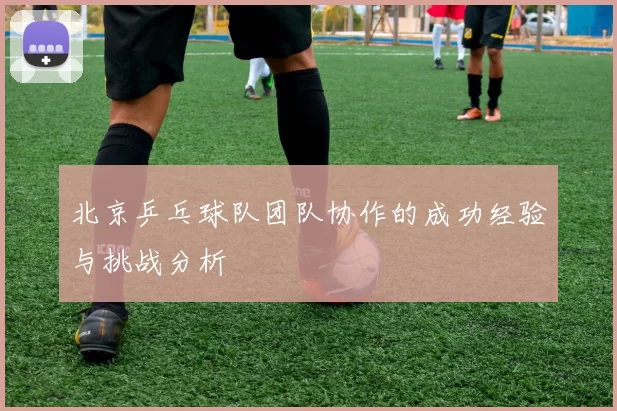 北京乒乓球队团队协作的成功经验与挑战分析