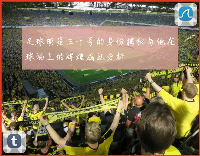 足球明星三十号的身份揭秘与他在球场上的辉煌成就分析