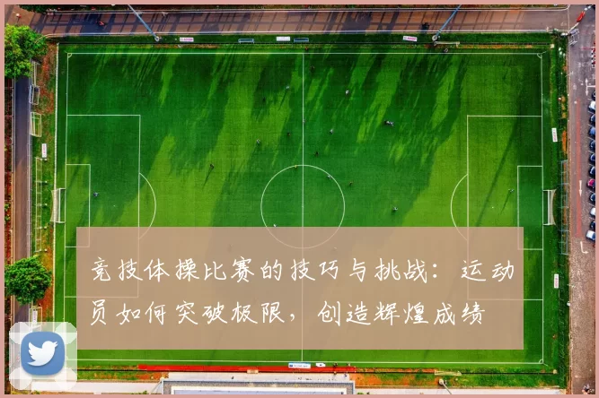 竞技体操比赛的技巧与挑战：运动员如何突破极限，创造辉煌成绩